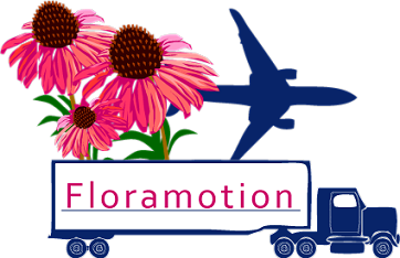 Floramotion company logo.